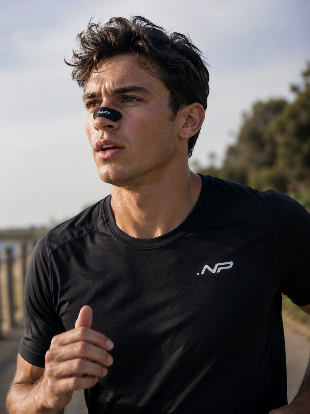 NP Nose strips